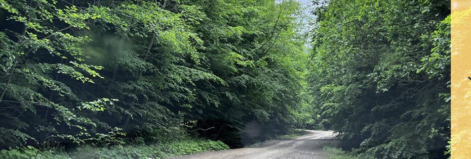 Piatra Neamț - Izvorul Muntelui - Brusturi allroad kaland autós utazás élmény